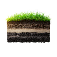 Soil layer with grass and soil against transparent surface png