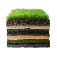 The layers of soil and grass over transparent background png