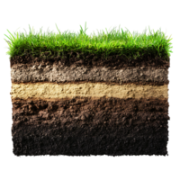 layers of soil and grass over transparent background png
