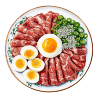 A plate with meat, eggs, and green onions png