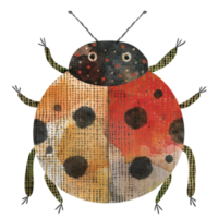 Watercolor red and black dot on little ladybug insect and wildlife animal cartoon character clip art element illustration png
