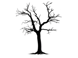 A detailed silhouette of barren tree with intricate branches, showcasing its stark beauty and natural form. This evokes sense of solitude and passage of time png