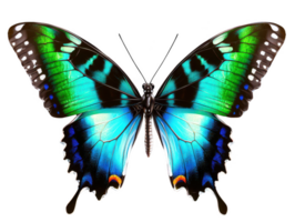A vibrant butterfly with striking blue and green wings, showcasing intricate patterns and delicate structure. This beautiful insect symbolizes transformation and nature artistry png