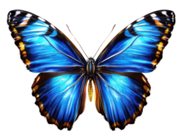 A vibrant blue butterfly with striking iridescent wings showcases intricate patterns and textures, symbolizing beauty and transformation nature. Its vivid colors captivate viewer attention png