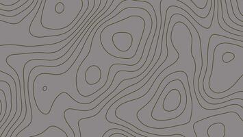 Seamless Topographic Pattern with Wavy Contour Lines on Gray Background vector