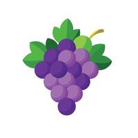 Grape flat illustration on white background vector