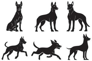 Doberman Dog Silhouette Set, Sitting, Standing, and Running Poses vector