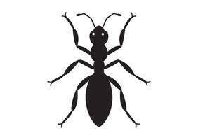 A black ant with a white background that says ant vector