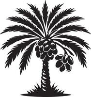 Black and white stylized date palm tree laden with dates vector