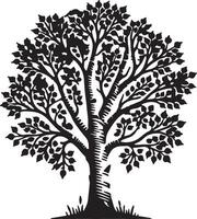 tree silhouette white background vector