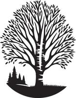 a black and white silhouette of a tree with a birch tree vector