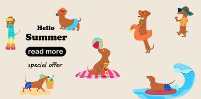 wWeb page design template. Cute cartoon dachshunds enjoying summer on the beach vector
