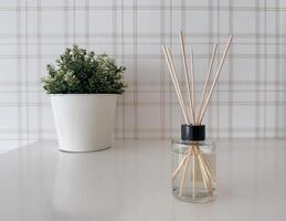 A minimalist home decor scene featuring a white table with a small potted green plant and a glass reed diffuser photo