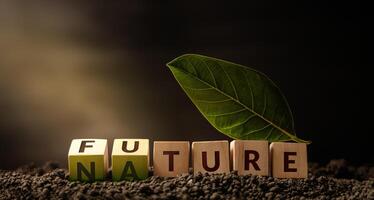 Environmental Concept. Green Energy, Renewable and Sustainable Resources. a Green Leaf on Wooden Cube turing from Future to Nature photo