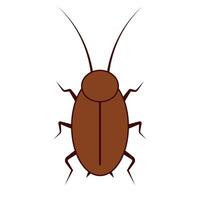 Brown Cockroach from Top View Design. vector
