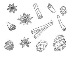 Christmas and New Year hand drawn scetch with fir branches, pine cones, cinnamon, dried oranges, anise stars, and cloves. Christmas decoration. Stock illustration on a white background. vector