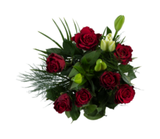 Bouquet of red roses top view cut out isolated transparent background png