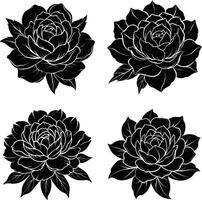 Floral Shadow Bundle Decorative Dark Flower Elements Scalable Set for Artwork and Crafts vector
