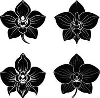 Botanical Outline Collection Stylish Dark Flower Elements Scalable Assortment for Artwork and Crafts vector