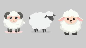 illustration of three sheep in different shapes vector