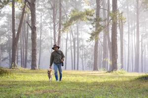 Adventurer is trekking through the woodland forest with his dog while playing together in the woods during summer to exploring trail and nature bath photo