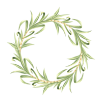 Sugar cane stalks with leaves watercolor wreath isolated. Round frame from stems and green foliage. Hand drawn illustration of bamboo shoots. Template with copy space in sketch style for food design. png