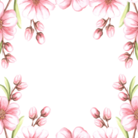 Pink flowers of almond with leaves and buds watercolot square frame isolated. Floral template with copy space from spring sakura, cherry blossom. Illustration of spring blooming fruit in sketch style. png