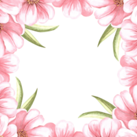 Almond pink flowers with leaves watercolot square frame isolated. Floral template with copy space from spring sakura, cherry blossom. Illustration of spring blooming fruit in botanical sketch style. png