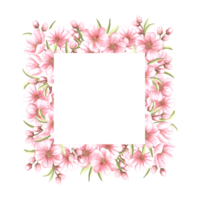 Almond pink flowers with leaves and buds watercolor square frame isolated. Floral template with copy space from spring sakura, cherry blossom. Illustration of spring blooming fruit in sketch style. png