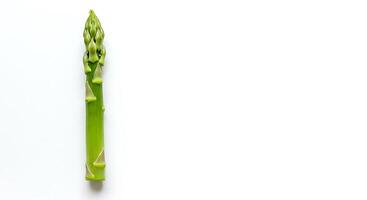 Asparagus Spear Isolated on White Background Minimalist Fresh Vegetable photo