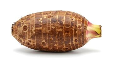 Single Taro Root Close Up with Brown Texture on White Background photo