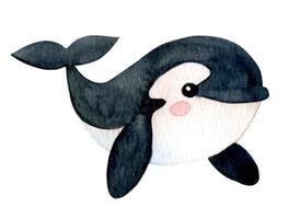 cute orca character. watercolor illustration for kids, underwater life vector