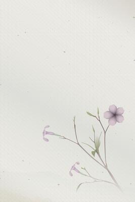Minnieroot tree with flower and green leaves watercolors painted style on bond paper texture vertical background have blank space.