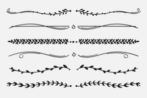 Nature Floral Vine Line Divider for Text Layout Separator Decoration Element Collection. vector