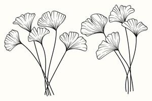 Ginkgo leaf line art hand drawn texture collection. illustration vector