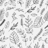 Seamless pattern botanical leaves line art isolated on white background. vector