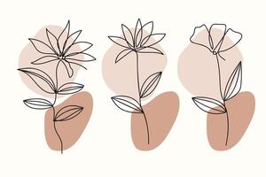 One continuous line art flowers with brown stones bohemian style collection. illustration. vector