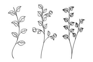 Three different types of plants with leaves vector