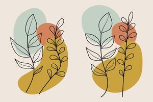 Minimalist abstract botanical digital collection. illustration vector