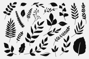 Silhouette of twigs with leaves botanical collection. vector