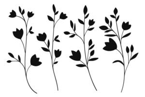 Silhouette Twigs with Leaves in a Botanical Set. illustration vector