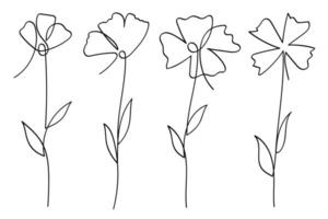 One line art flowers botanical collection. illustration vector
