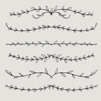 Hand Drawn Nature Floral Vine Line Divider for Text Layout Separator Decoration Element Collection vector
