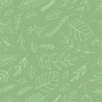 Seamless pattern botanical leaves line art isolated on green background. vector