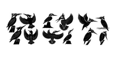 Kingfisher Silhouette Set Bird Outline Collection vector