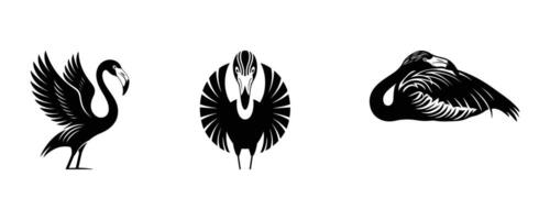 Standing Flamingo Exotic Bird Silhouette Design vector