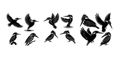 Kingfisher Silhouette Set Bird Outline vector