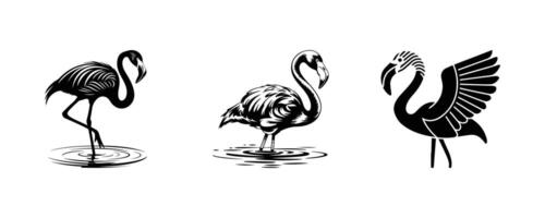 Flamingo Silhouette Set vector