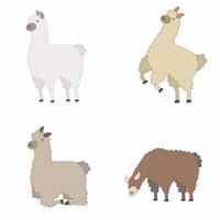 Alpaca illustration set isolated on white background with flat style in different poses and colors. For children books, greeting cards, stickers, merchandise, or social media graphics. vector