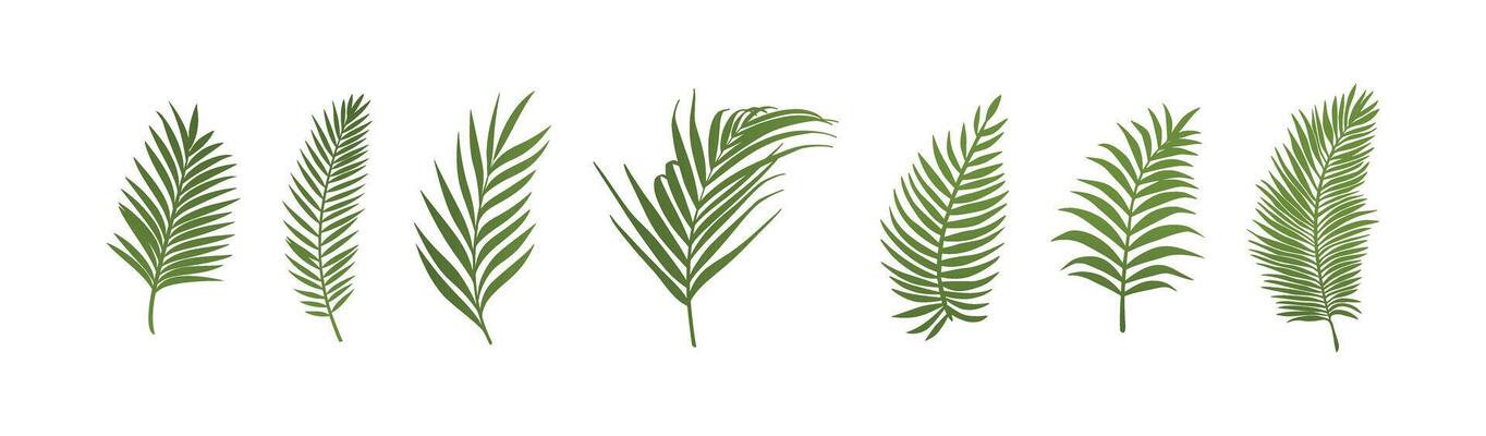 Single green palm leaf illustration in flat tropical nature style